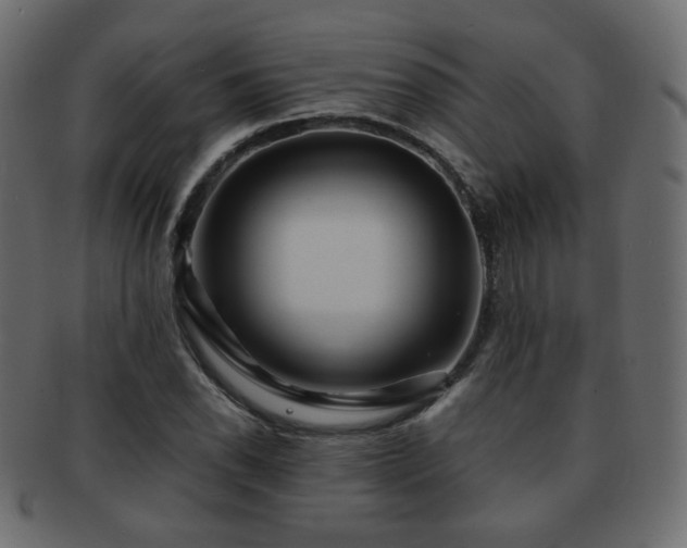 X0000092311118200709141348