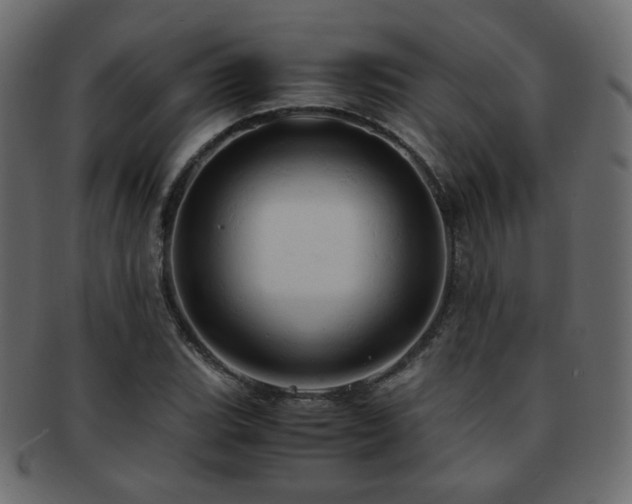 X0000092311119200709141348