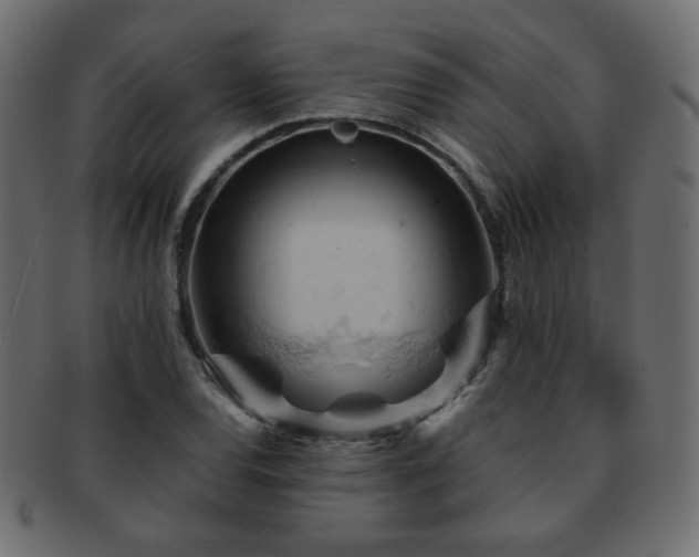 X0000092311120200709141348