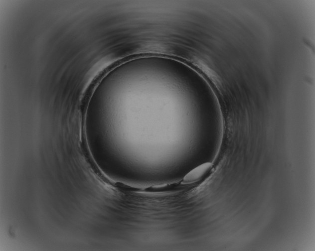 X0000092311123200709141348