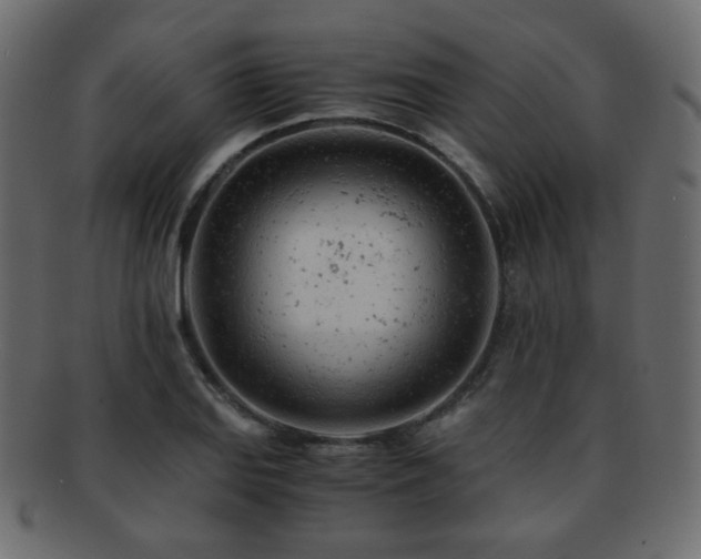 X0000092311127200709141348