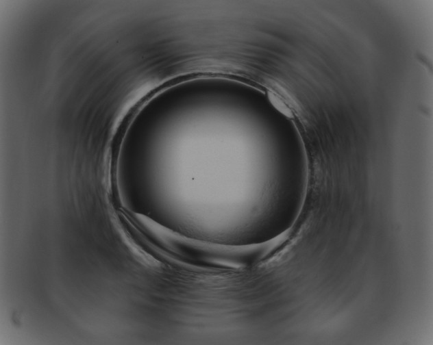 X0000092311128200709141348