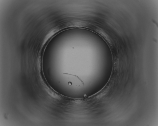 X0000092311130200709141348