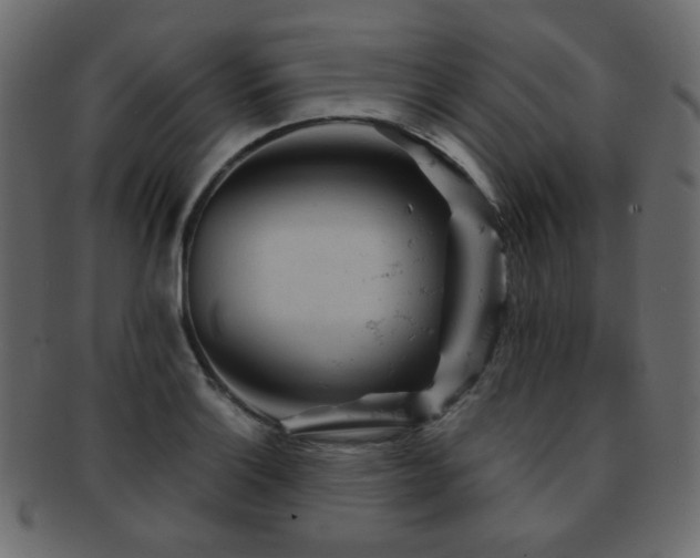 X0000092311132200709141348