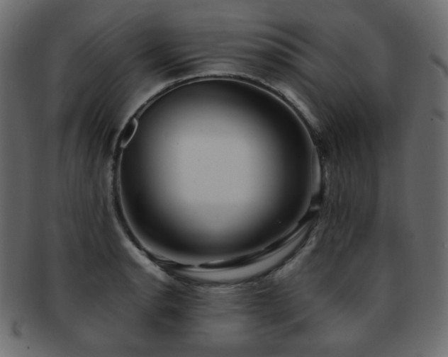 X0000092311134200709141348