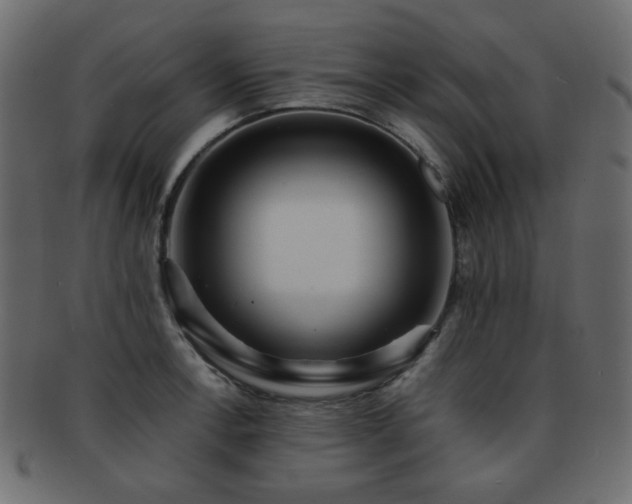 X0000092311138200709141348