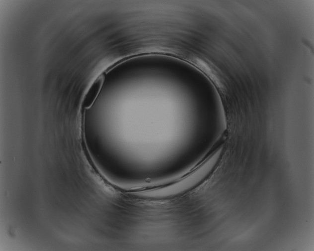 X0000092311140200709141348