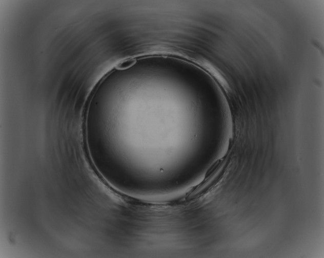 X0000092311142200709141348