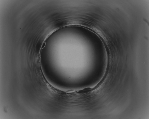 X0000092311145200709141348