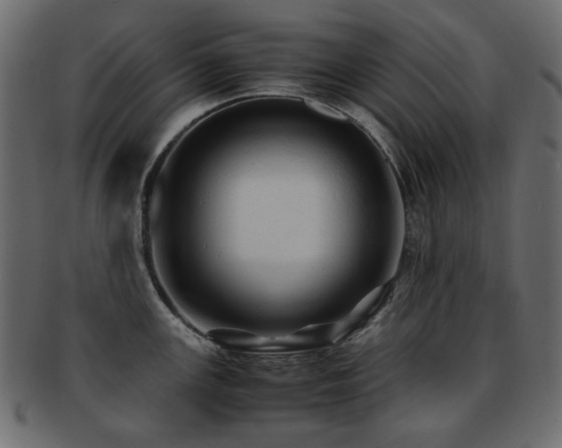 X0000092311147200709141348