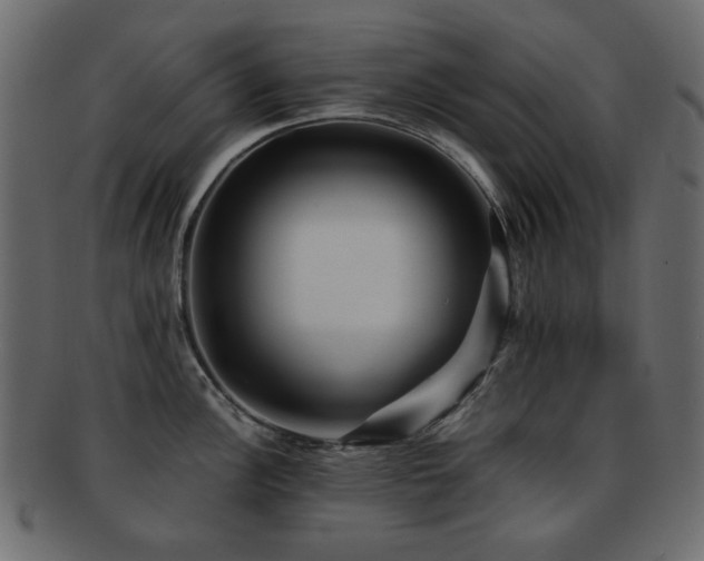 X0000092311148200709141348