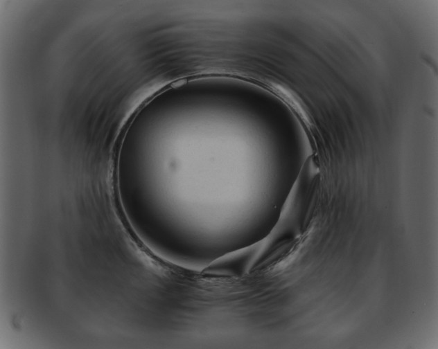X0000092311149200709141348