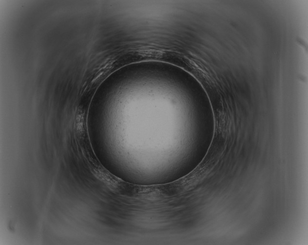 X0000092311154200709141347