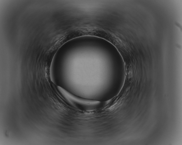 X0000092311156200709141347