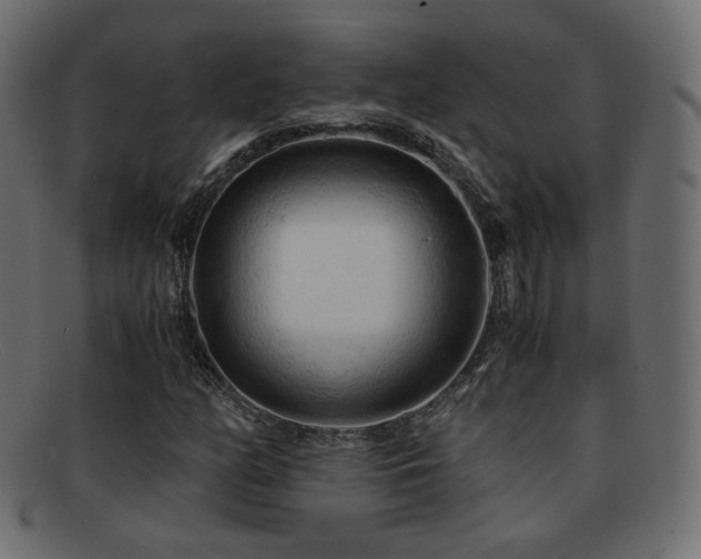X0000092311158200709141347