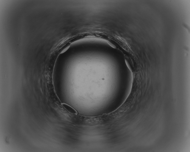 X0000092311159200709141347