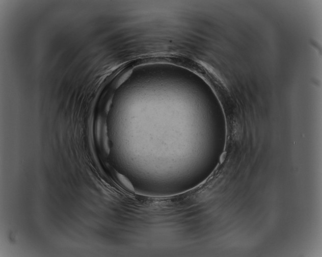 X0000092311161200709141347