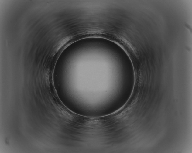 X0000092311162200709141347