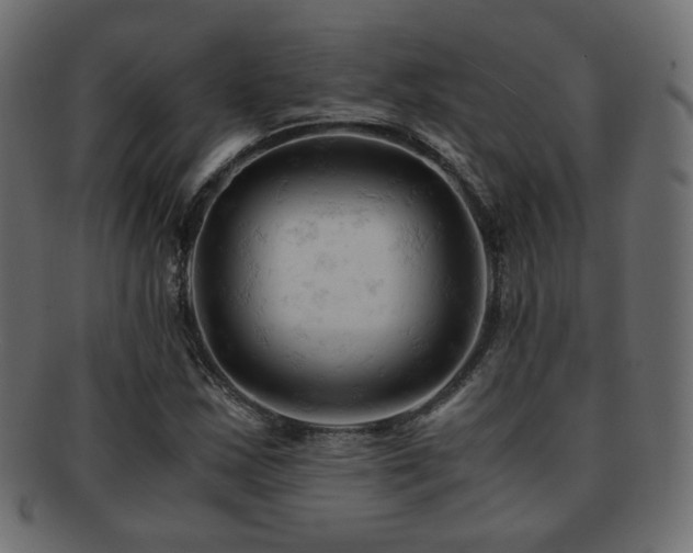 X0000092311163200709141347