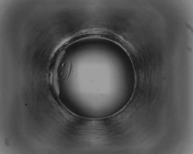 X0000092311166200709141347