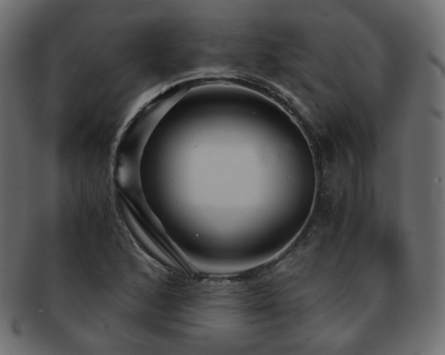 X0000092311168200709141347