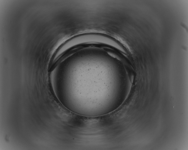 X0000092311173200709141347