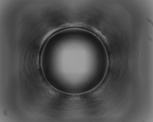 X0000092311174200709141347