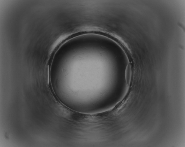 X0000092311175200709141347