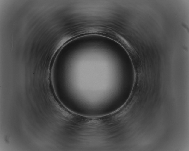 X0000092311178200709141347