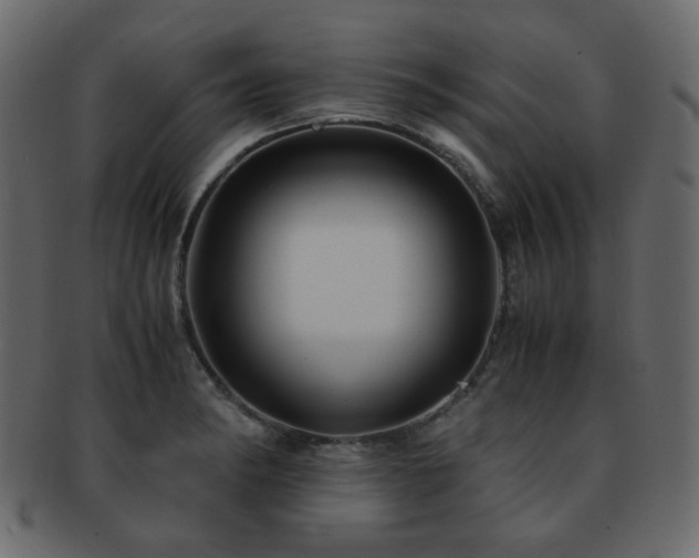 X0000092311182200709141347