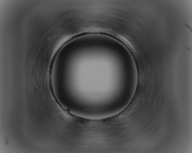 X0000092311183200709141347