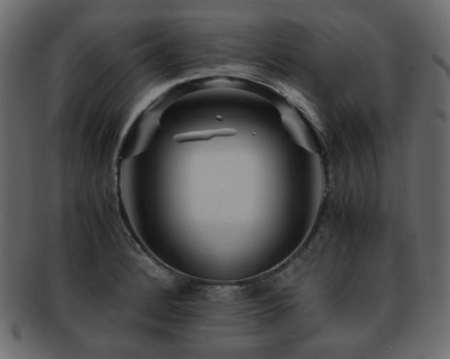 X0000092311184200709141347