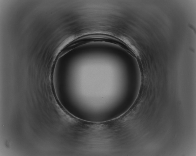 X0000092311189200709141347