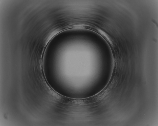X0000092311194200709141347