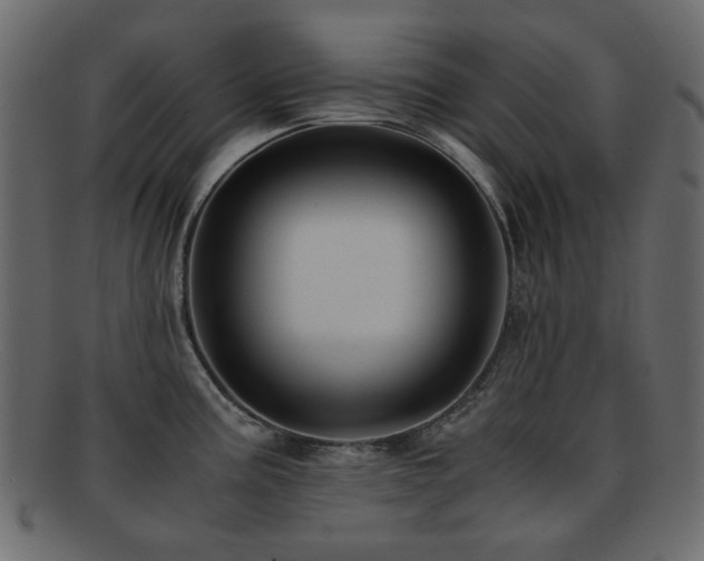 X0000092311195200709141347