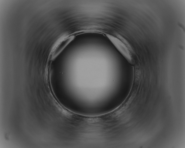 X0000092311196200709141347