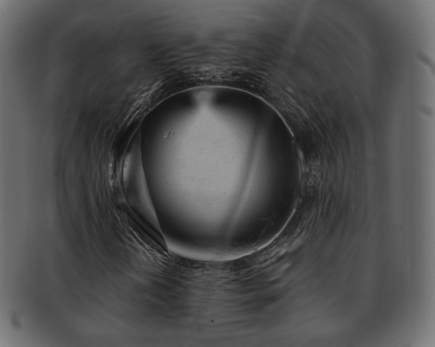 X0000092311202200709141346