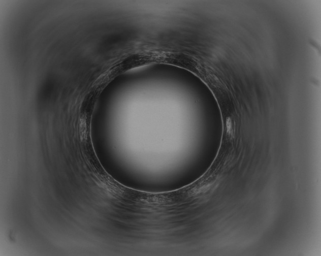 X0000092311203200709141346