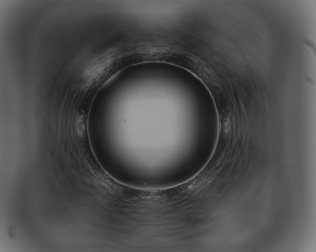X0000092311204200709141346