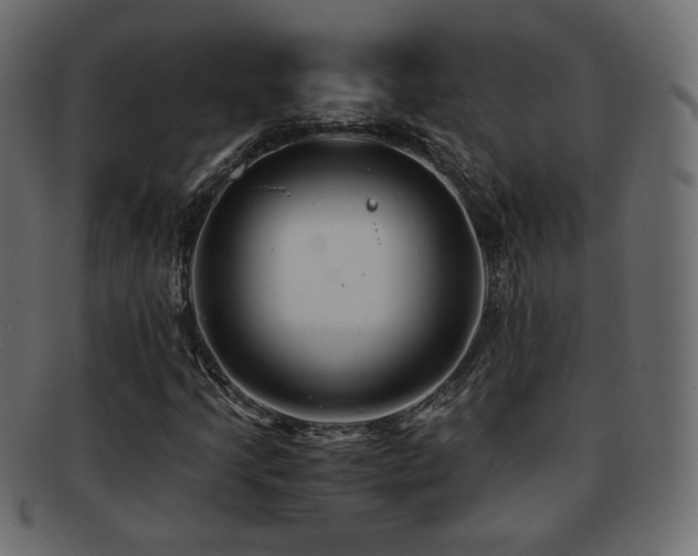 X0000092311205200709141346