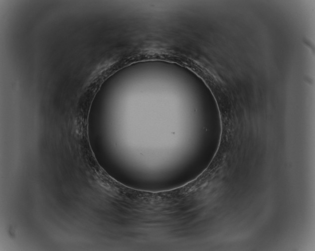X0000092311207200709141346