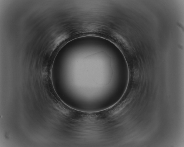 X0000092311210200709141346