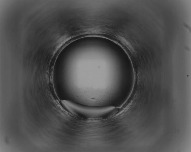 X0000092311212200709141346