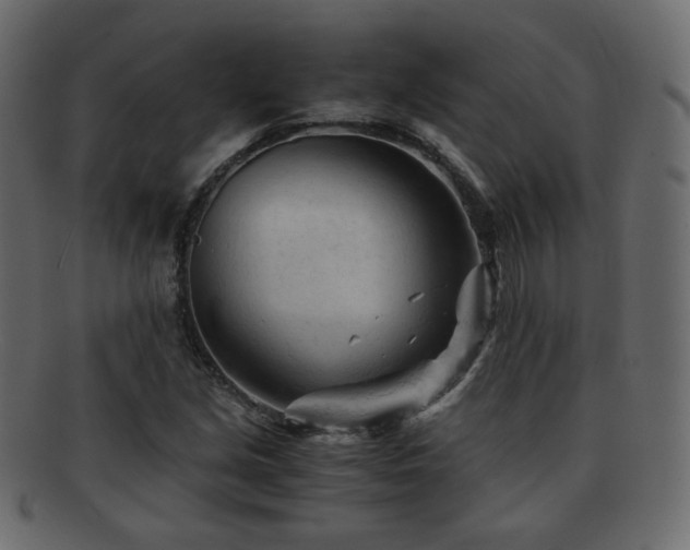 X0000092311213200709141346
