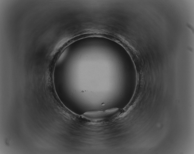 X0000092311215200709141346