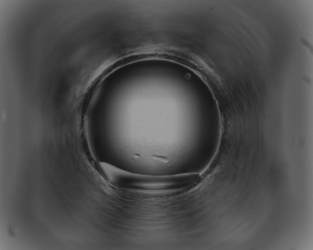 X0000092311216200709141346