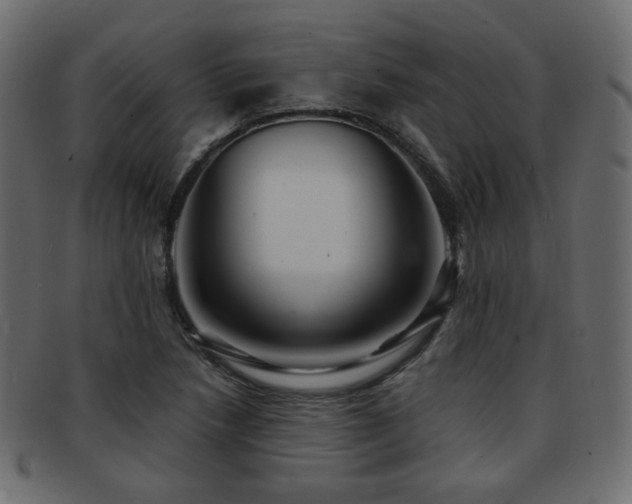 X0000092311218200709141346