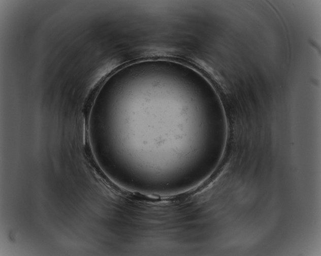 X0000092311219200709141346