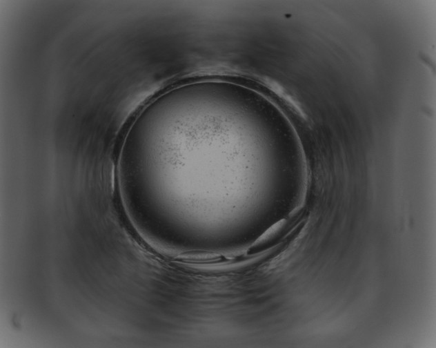 X0000092311221200709141346