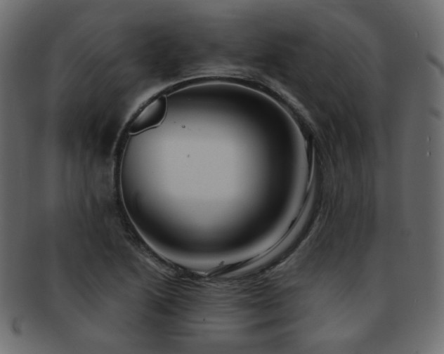 X0000092311222200709141346